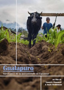 affiche-gualapuro2-732x1024