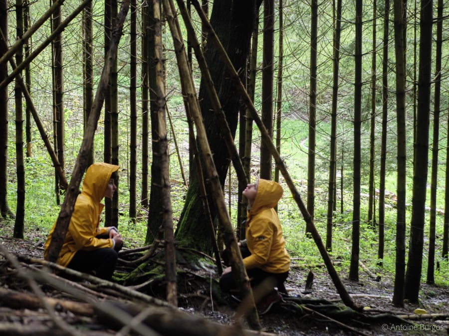 Spectacle » Soudain dans la forêt